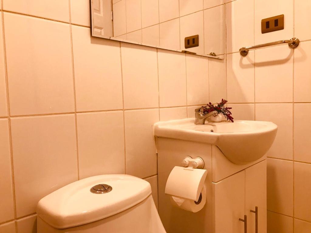 Apart Hotel Don Domingo Temuco Eksteriør billede